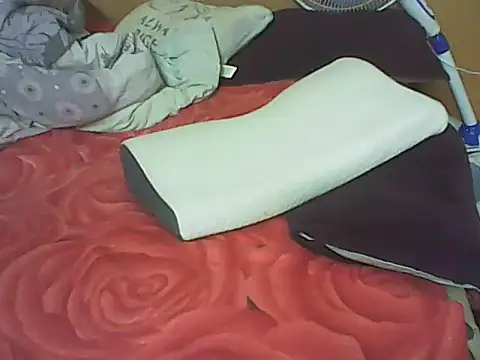 LiluHot webcam