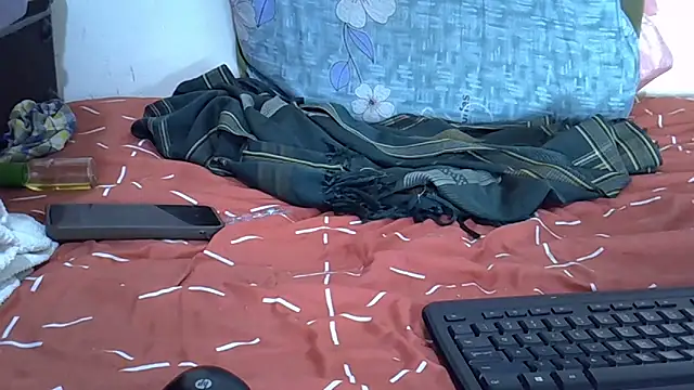 langiey webcam