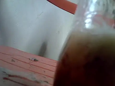cici-mil webcam