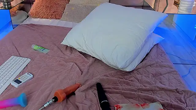 PalmLora1 webcam