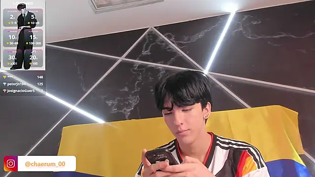 AerumChae webcam