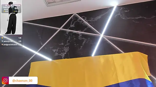 AerumChae webcam