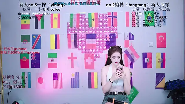 CCTW-100 webcam