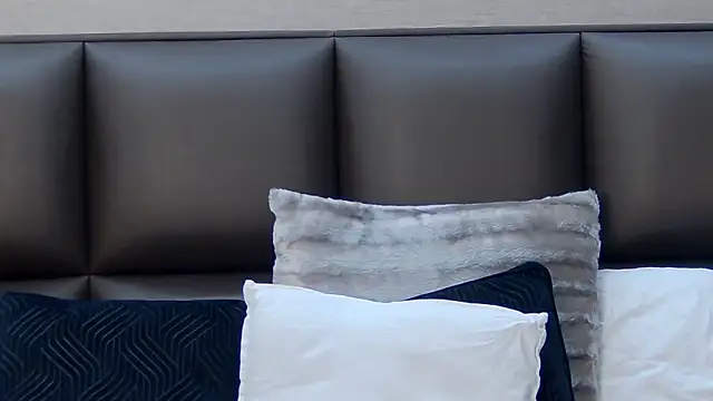 FoxyJoy webcam