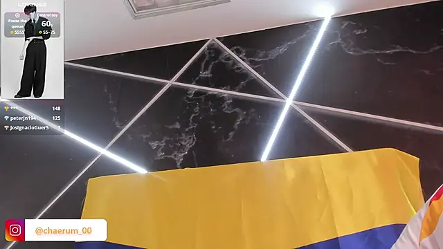 AerumChae webcam