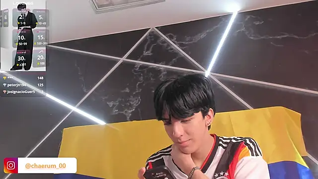 AerumChae webcam