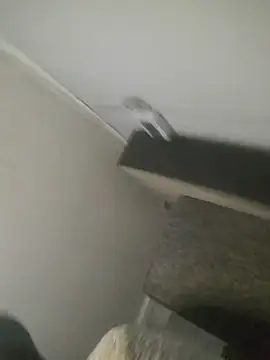 koolbend webcam