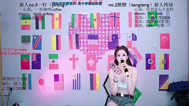 CCTW-100 webcam