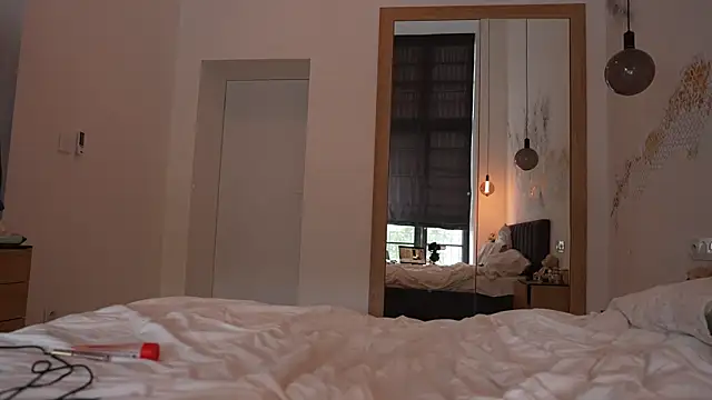 ibiddi webcam