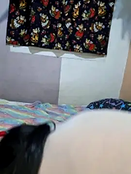 Putaalexa webcam