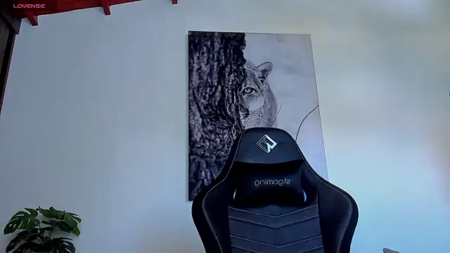 Santos_ramirez1 webcam