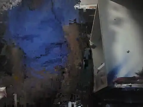 Jayelen webcam