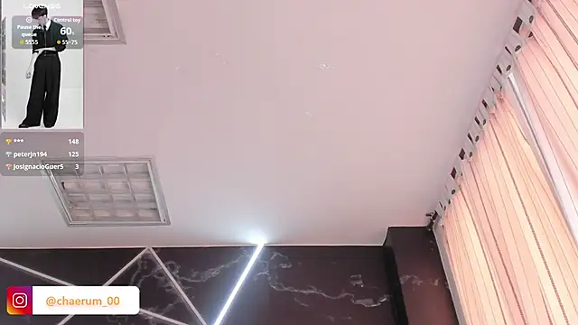 AerumChae webcam