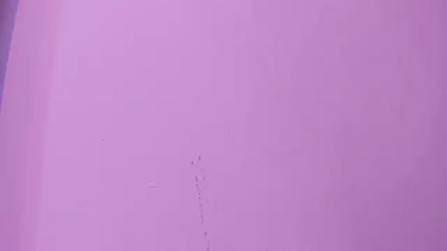 camila_scoth webcam