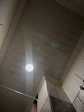 Sasha-firee webcam