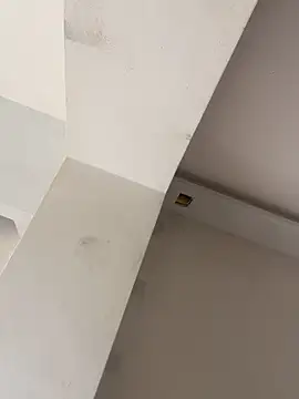 CanelaRicky webcam
