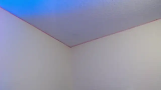 loren_tits24 webcam