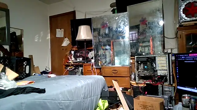 slinginbigD webcam