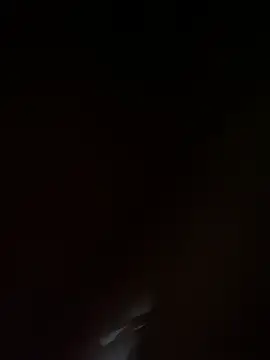 Horse-XYZ webcam