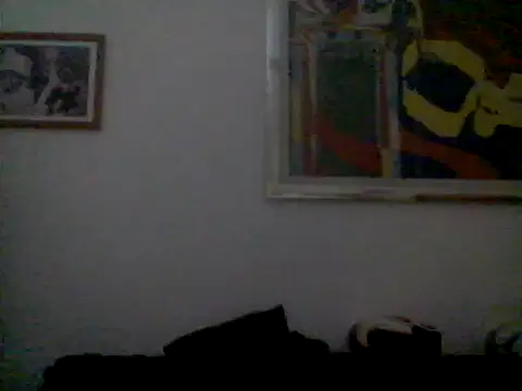 AMIRDIB2025 webcam