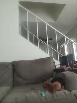 yourMasterisBored webcam