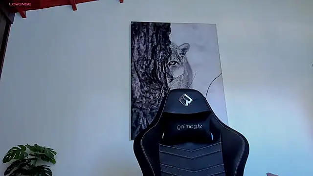 Santos_ramirez1 webcam