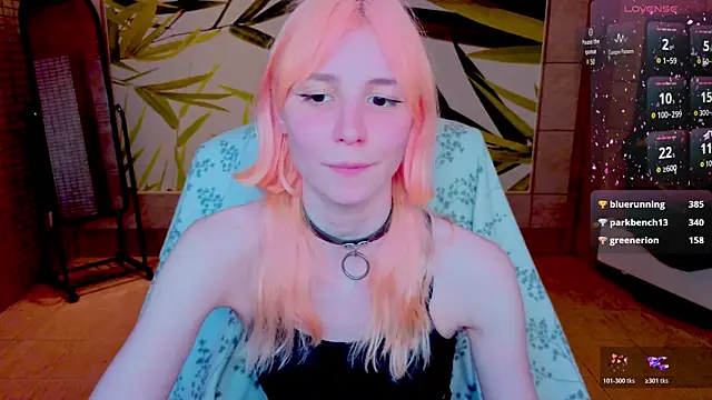 fleximona webcam