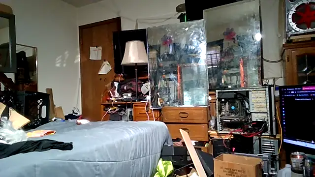 slinginbigD webcam