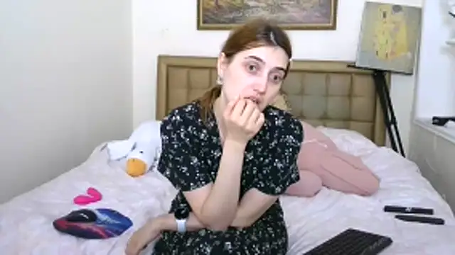 Iren webcam