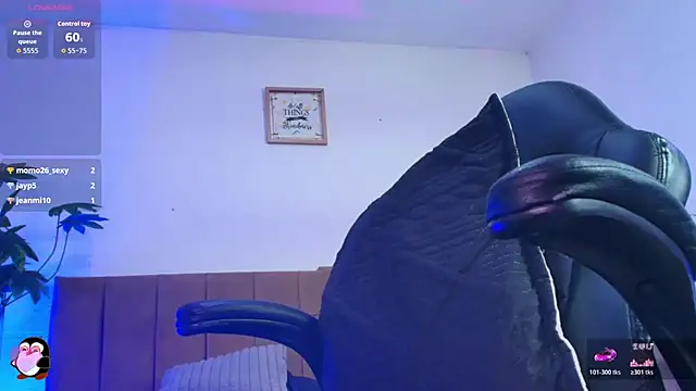 Nikkenyx webcam