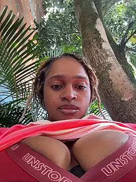 darle_volant webcam