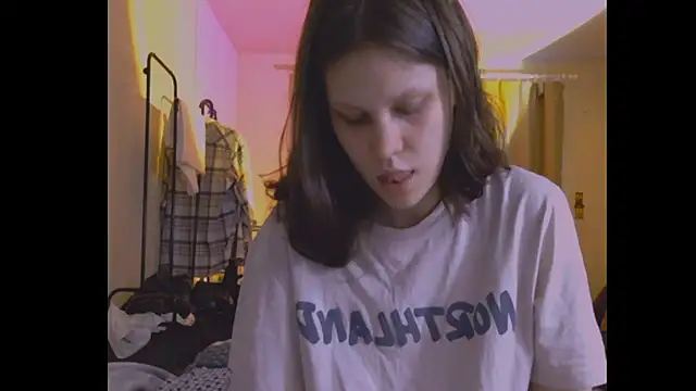 Lunliss webcam