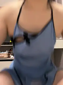 POS001 webcam