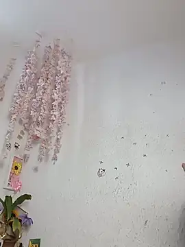 Kuutar webcam