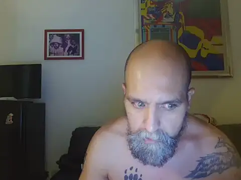 AMIRDIB2025 webcam