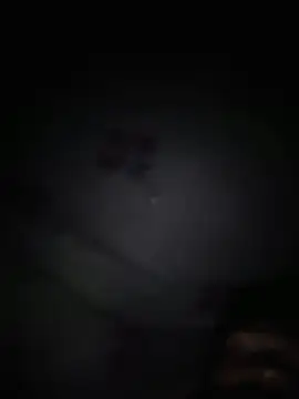 Shivanisingh4 webcam