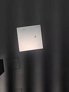 MiiaRestrepo webcam