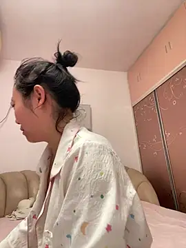 lan646855 webcam