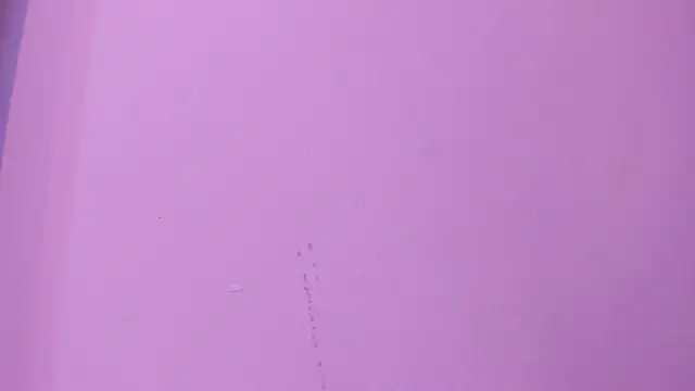 camila_scoth webcam