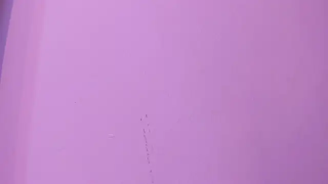 camila_scoth webcam