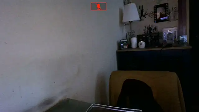 Hgay6935 webcam