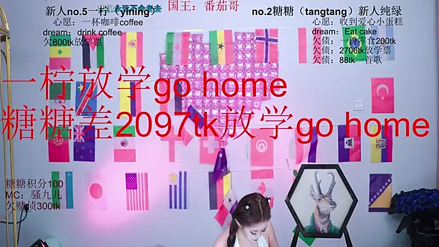 CCTW-100 webcam