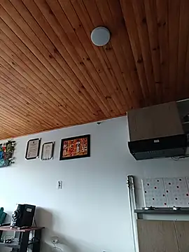 _Dr-Luna_1 webcam