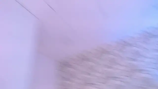 Venusandrea29 live cam on StripChat