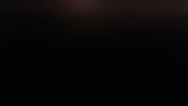 aixa_show webcam