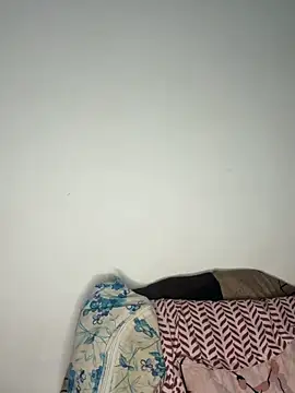 hot8178 webcam