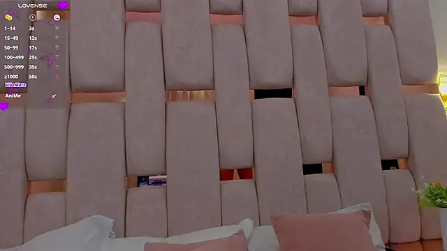 lady_boox webcam