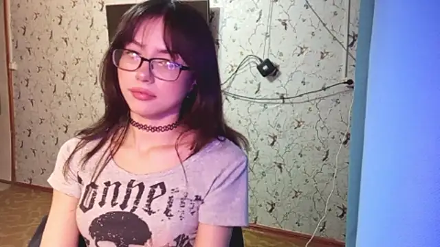 DelicaBrome webcam