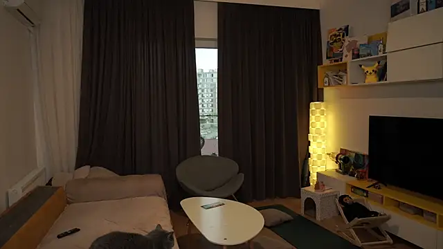 shyndwild - ShyNdWild's free webcam - UK Sex Cams