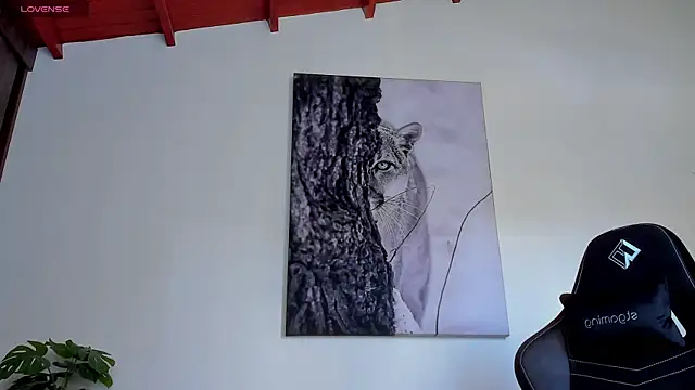 Santos_ramirez1 webcam